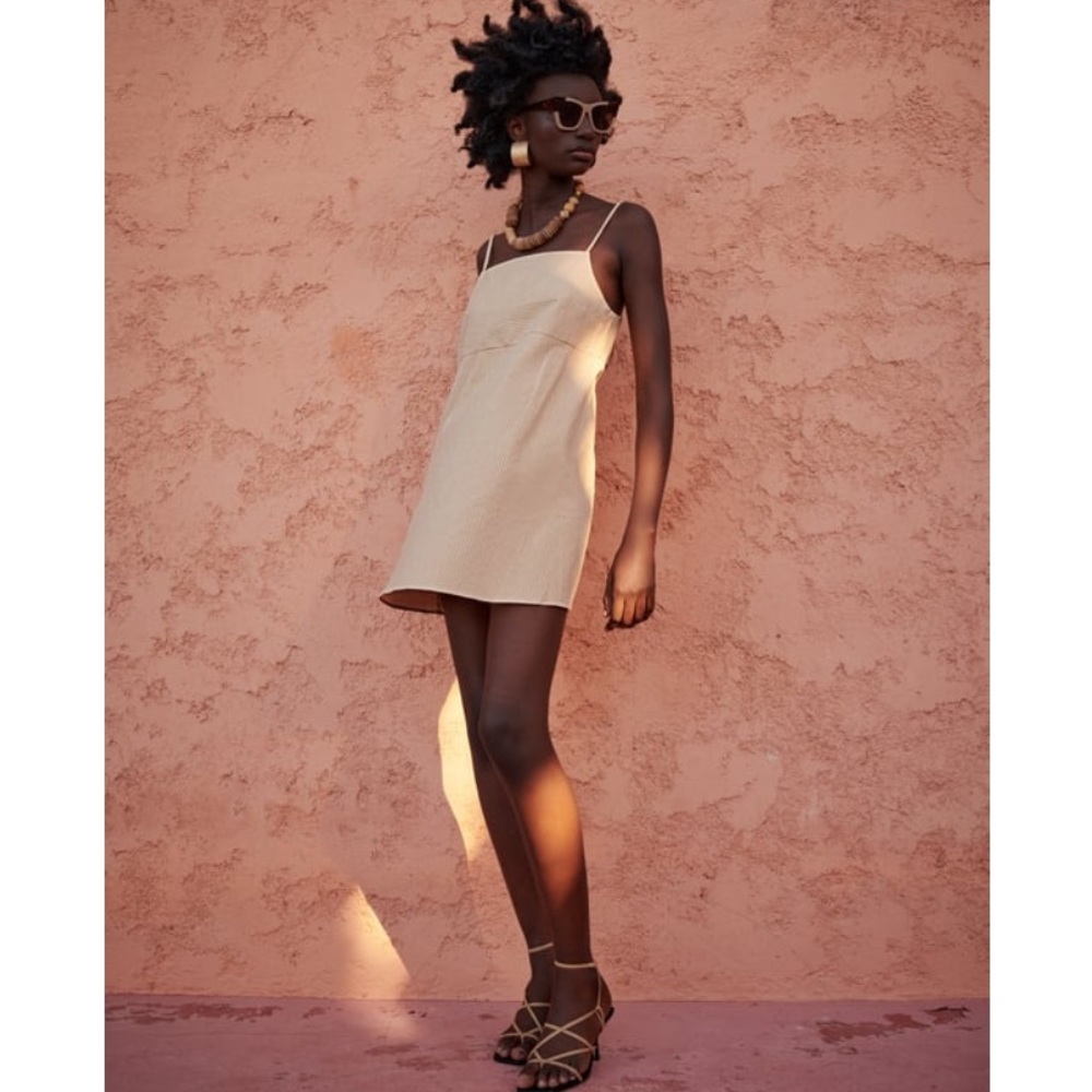 Striped Tan Zara Mini Dress
